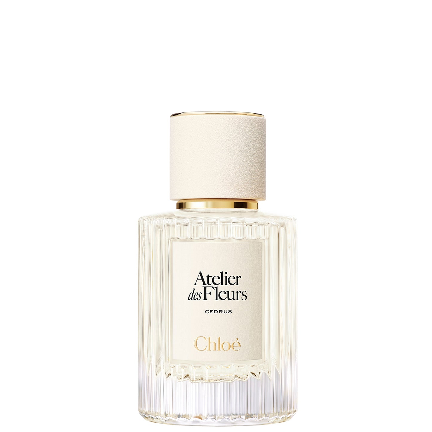 CHLOE ATELIER DE FLEURS