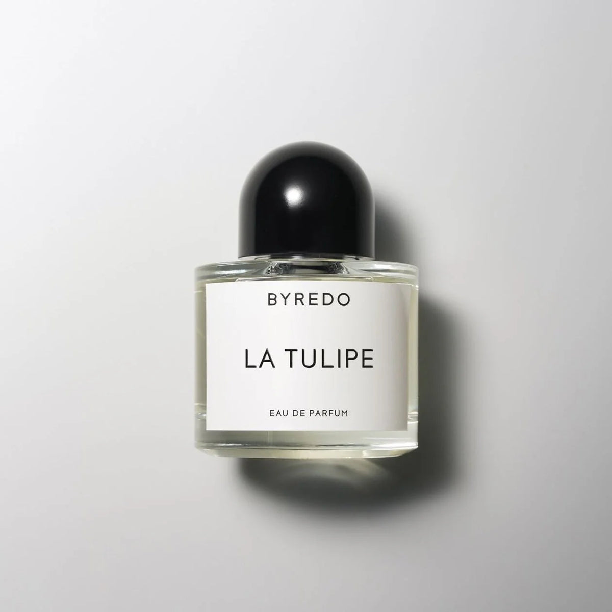 BYREDO LA TULIP