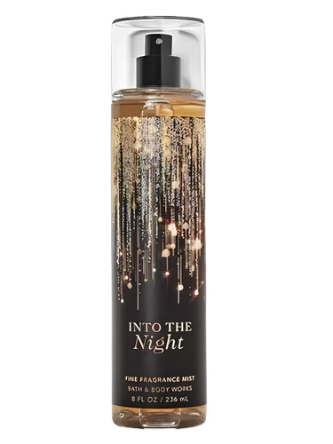 Into The Night Bath & Body Works