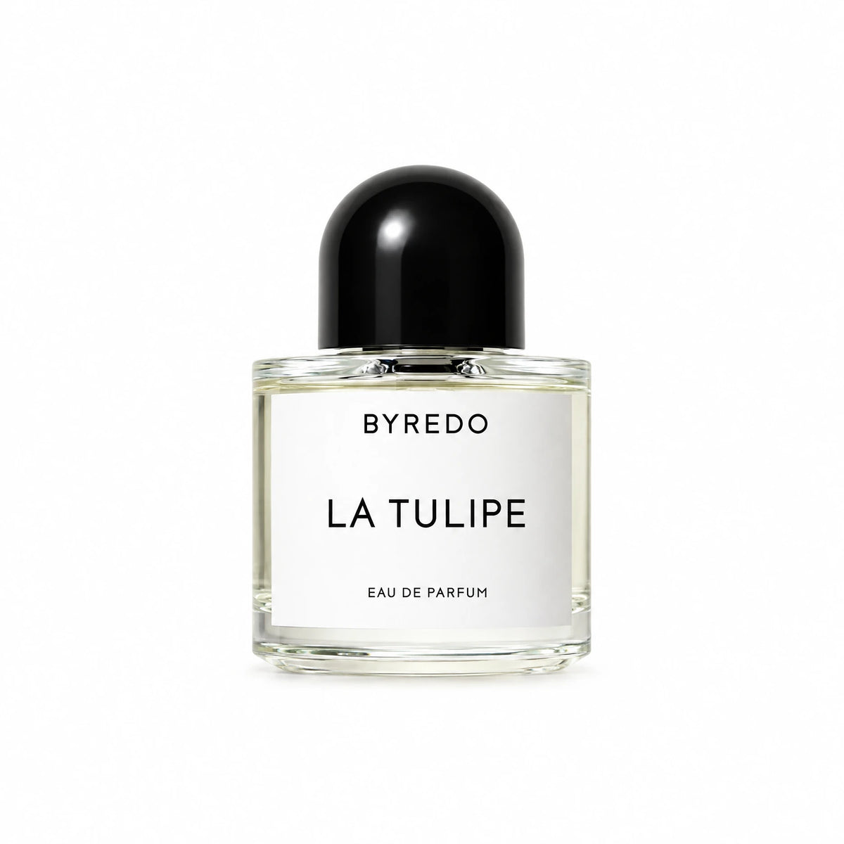 BYREDO LA TULIP