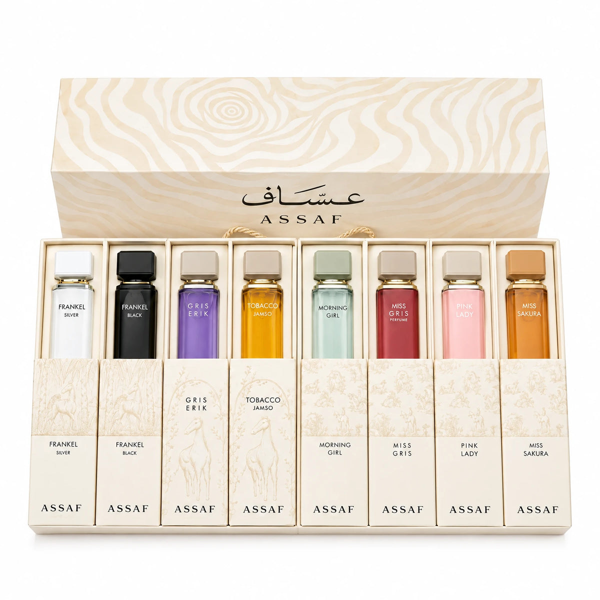 ASSAF SET DISCOVERY