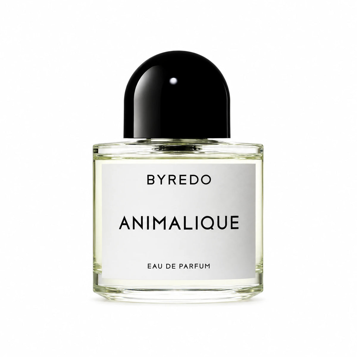 BYREDO ANIMALIQUE