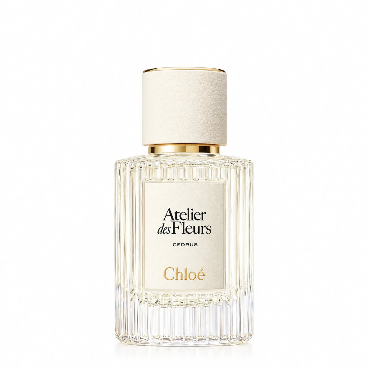CHLOE ATELIER DE FLEURS
